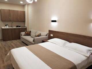 Отель Crystal Resort Бакуриани Стандартный двухместный номер с 1 кроватью-2