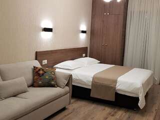 Отель Crystal Resort Бакуриани Стандартный двухместный номер с 1 кроватью-4