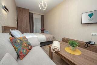 Отель Crystal Resort Бакуриани Стандартный двухместный номер с 1 кроватью-6