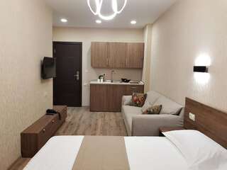 Отель Crystal Resort Бакуриани Стандартный двухместный номер с 1 кроватью-8